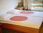 1206525354.jpg